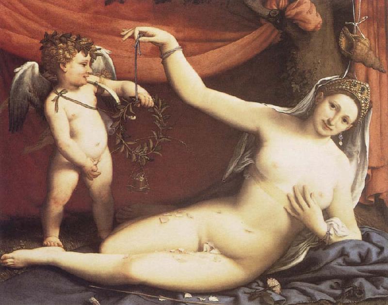 Lorenzo Lotto Venus and Cupid oil painting image